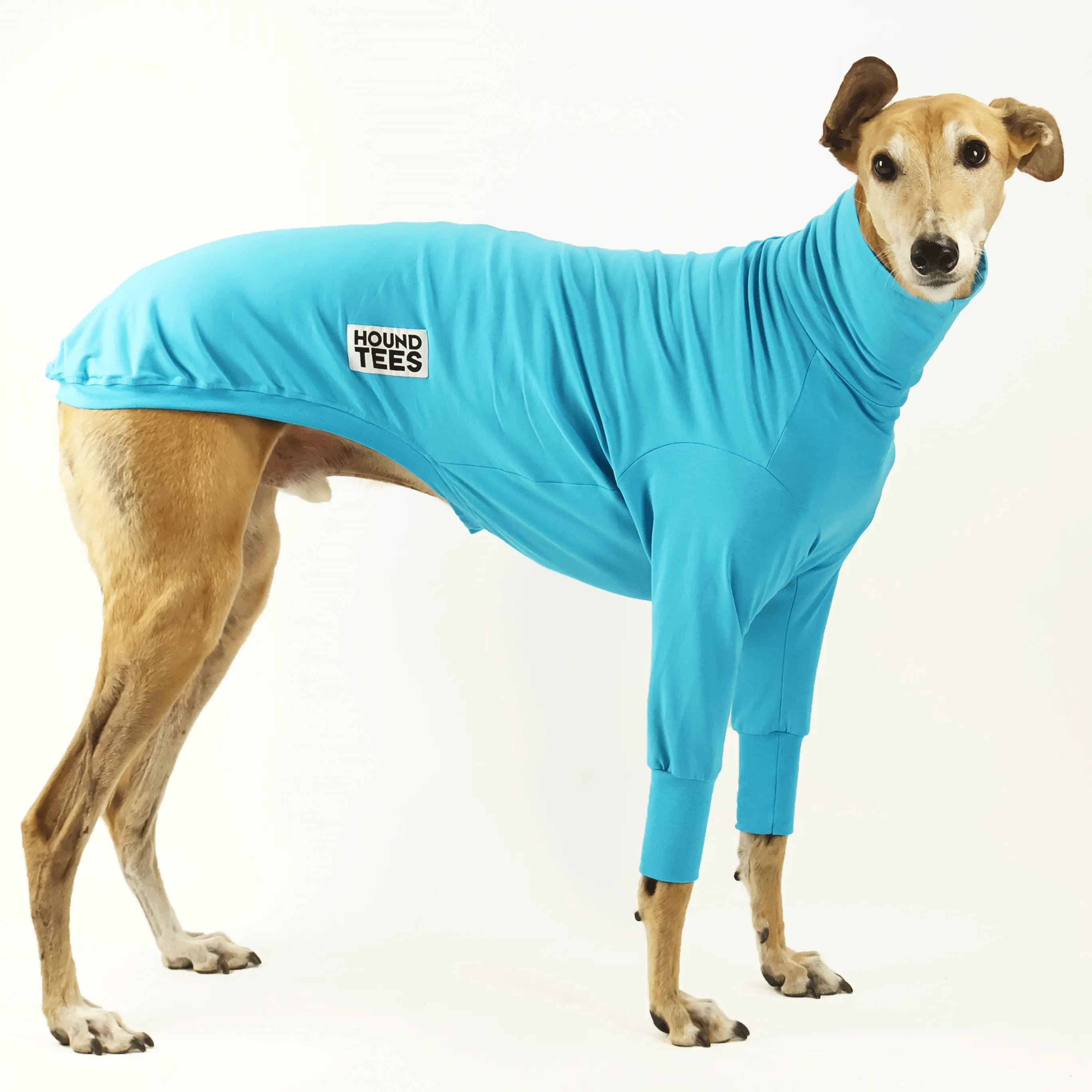 Bluey Greyhound Long Sleeve Base Layer