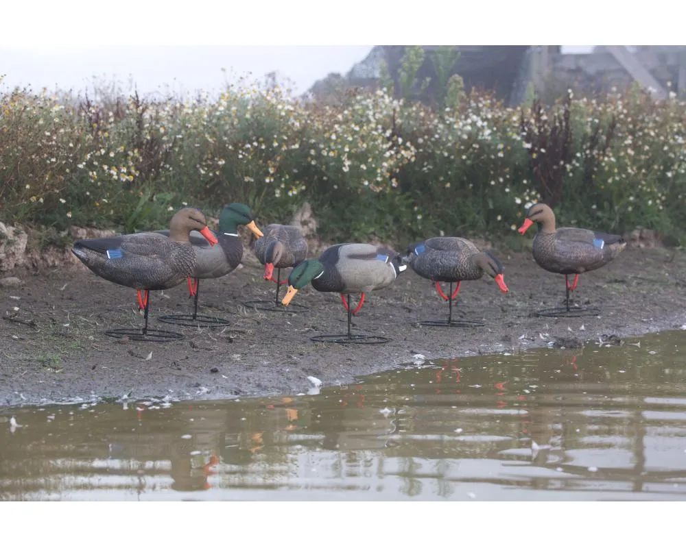 Game On Magnum Mallard 20" Field Decoys 6-Pack: 4 Hens & 2 Drakes