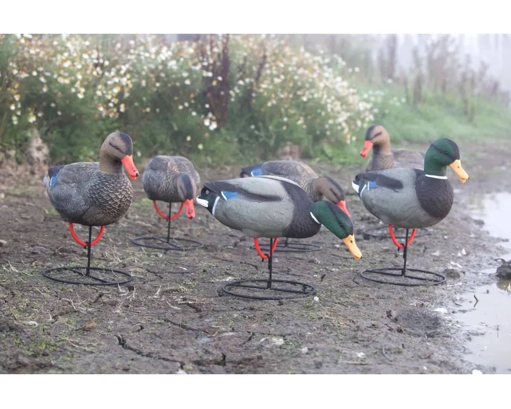 Game On Magnum Mallard 20" Field Decoys 6-Pack: 4 Hens & 2 Drakes