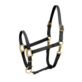 iCavalos Horse Halter Black & Gold