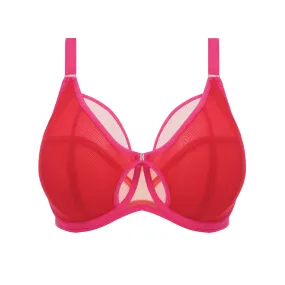 Kintai Plunge Bra