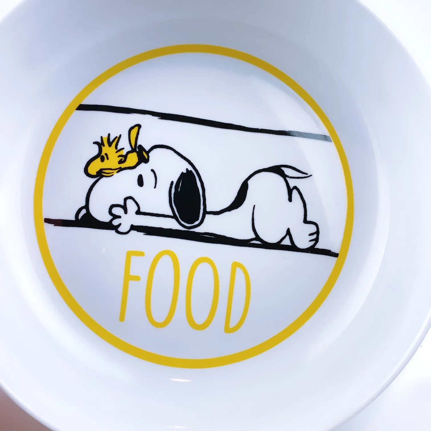 Peanuts Snoopy & Woodstock Prone Dinner Bowl Did Someone Say Food 8.5"