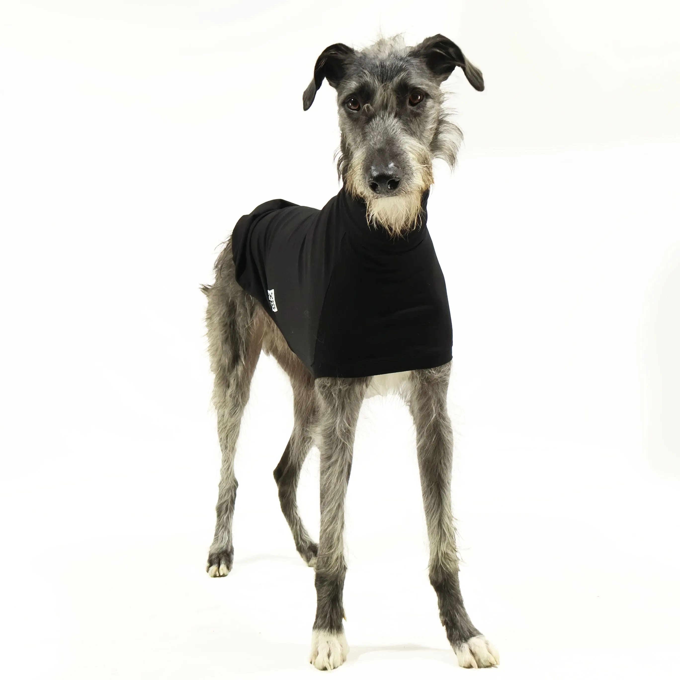 The Melbourne Greyhound Sleeveless Base Layer